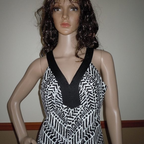 White House Black Market Sleeveless V-Neck Tribal Print HiLo Dress Sz 2 EUC $170 - Picture 2 of 14